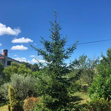 Ljubica With Big Beautiful Garden Villa Višnjan