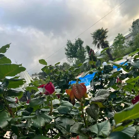Ljubica With Big Beautiful Garden